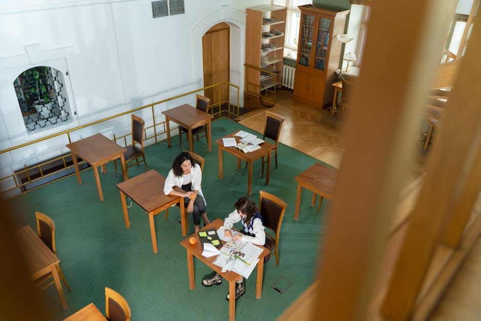 Two college students studying in a library from a high angle view